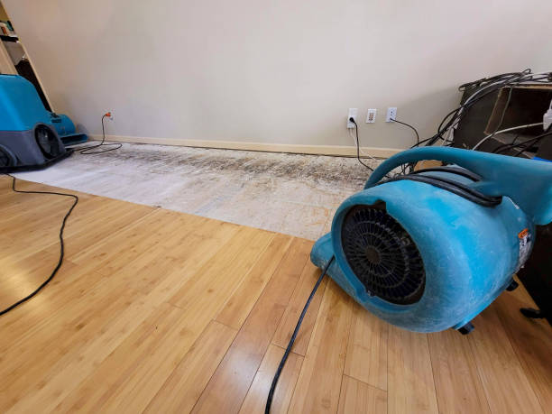 Professional Flood Damage Cleanup technician working in Slater, SC